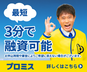 プロミスバナー